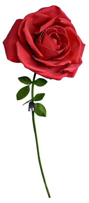 XXL विशाल गुलाब - एक महिला के लिए उपहार के रूप में गुलाब