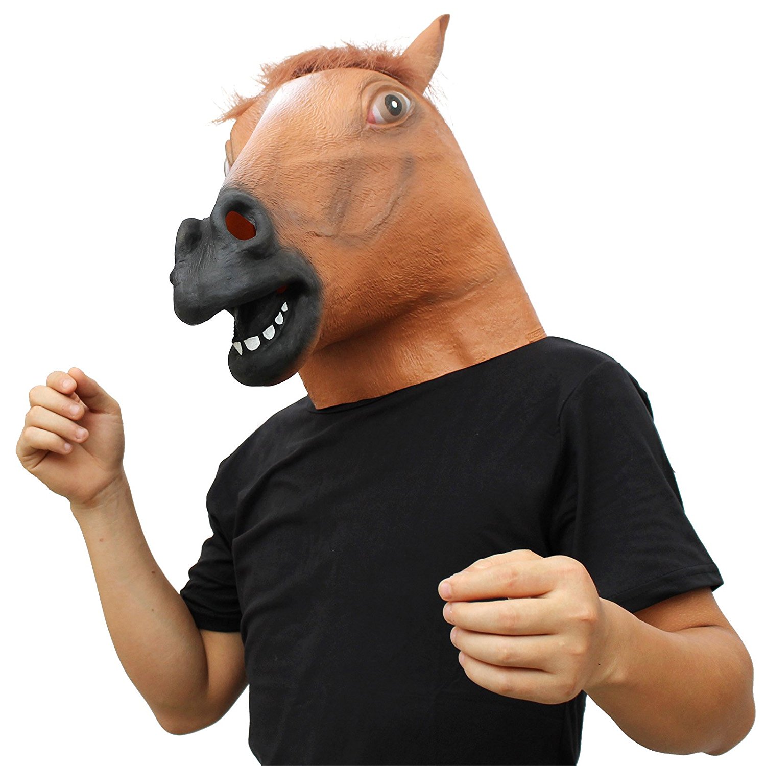 एक मुखौटा के रूप में घोड़े का सिर