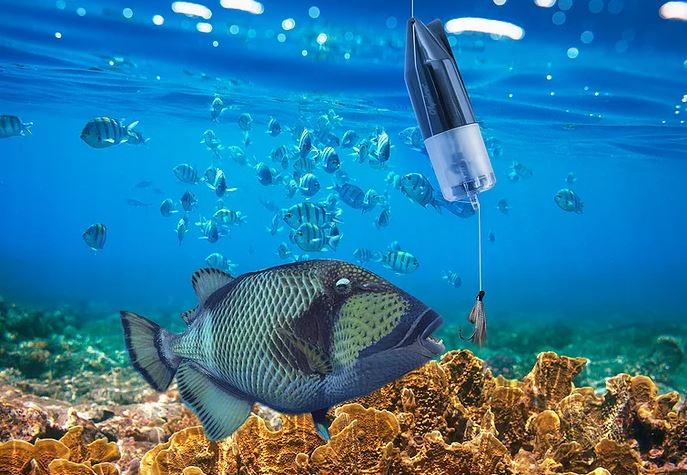 पानी के नीचे मछली कैमरा